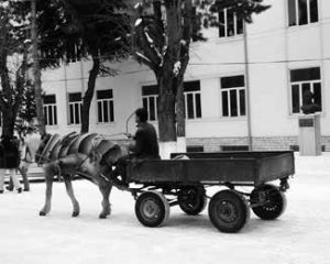 Foto Edmond Hasani